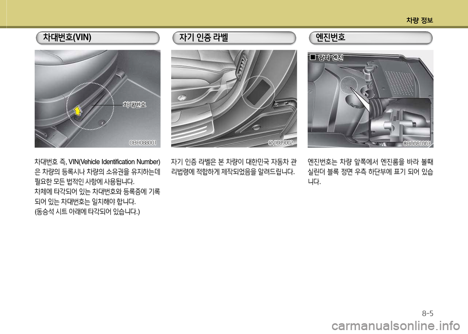 Hyundai Equus 2013  에쿠스 VI - 사용 설명서 (in Korean) 차량 정보8-5
8