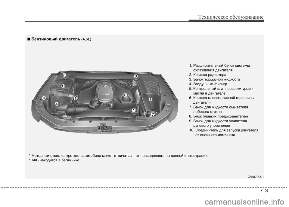 Hyundai Equus 2012  Инструкция по эксплуатации (in Russian) 73
Техническое обслуживание
OVI079001
1. Расширительный бачок системы
охлаждения двигателя
2. Крышка радиатора 
3. Б