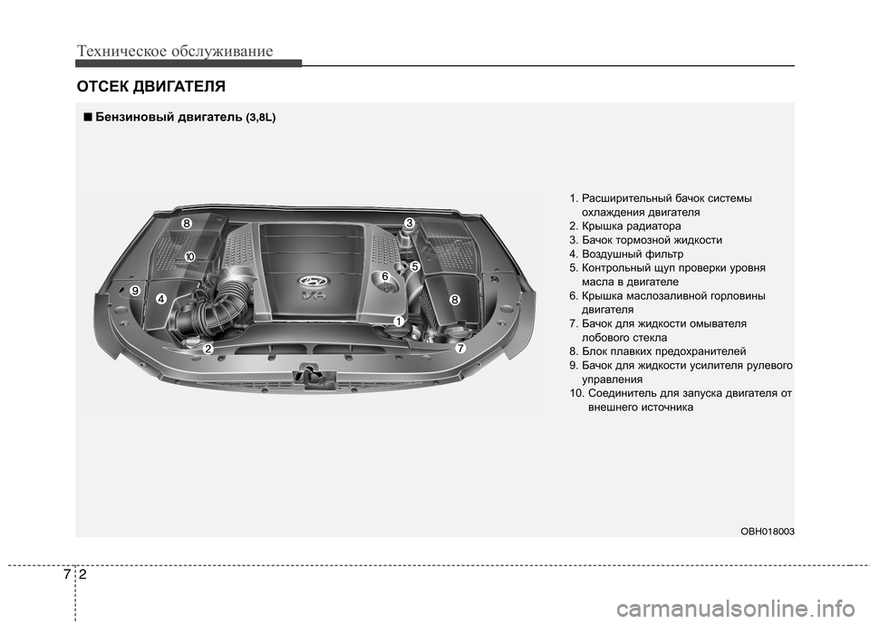 Hyundai Equus 2011  Инструкция по эксплуатации (in Russian) Техническое обслуживание
2
7
ОТСЕК ДВИГАТЕЛЯ
■■
Бензиновый двигатель (3,8L)
1. Расширительный бачок системыохл