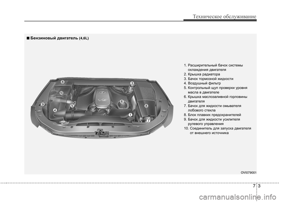 Hyundai Equus 2011  Инструкция по эксплуатации (in Russian) 73
Техническое обслуживание
OVI079001
1. Расширительный бачок системы
охлаждения двигателя
2. Крышка радиатора 
3. Б