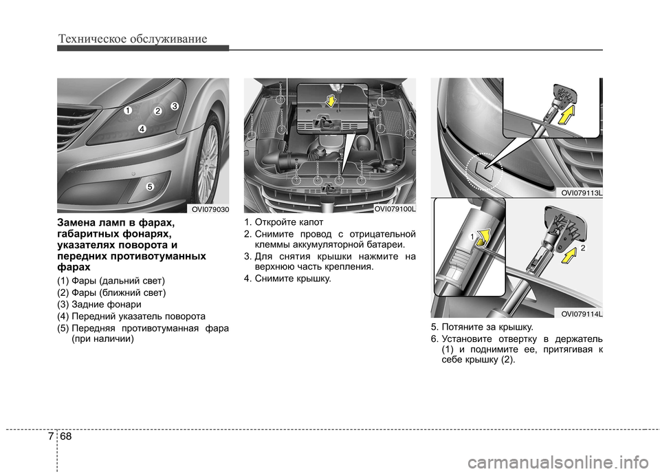 Hyundai Equus 2011  Инструкция по эксплуатации (in Russian) Техническое обслуживание
68
7
Техническое обслуживание
Замена ламп в фарах, 
габаритных фонарях,
указателях п