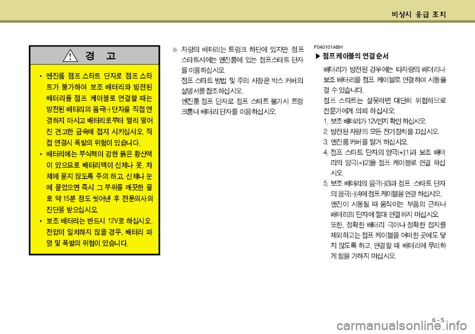 Hyundai Equus 2009  에쿠스 VI - 사용 설명서 (in Korean) 6-5
F040101ABH 