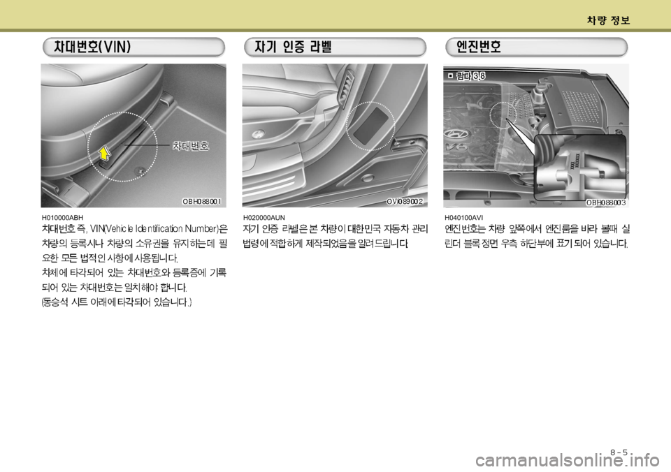 Hyundai Equus 2009  에쿠스 VI - 사용 설명서 (in Korean) 8-5
H010000ABHH020000AUNH040100AVI    