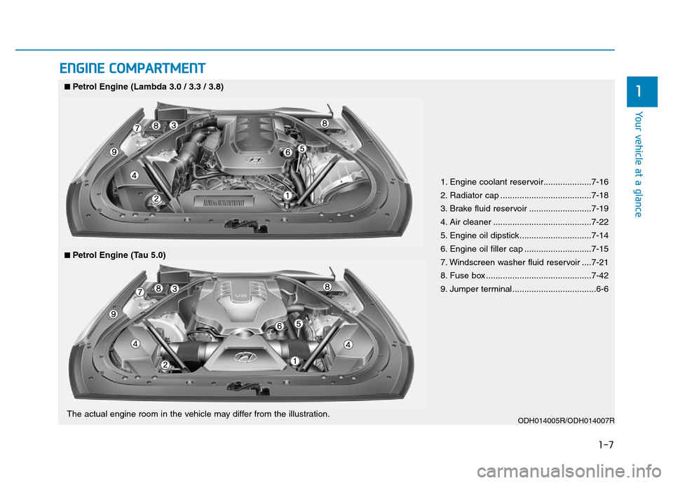 Hyundai Genesis 2016  Owners Manual - RHD (UK, Australia) 1-7
Your vehicle at a glance
1
ENGINE COMPARTMENT
1. Engine coolant reservoir....................7-16
2. Radiator cap ......................................7-18
3. Brake fluid reservoir ..............