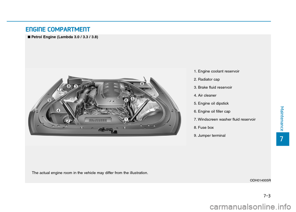 Hyundai Genesis 2016  Owners Manual - RHD (UK, Australia) 7-3
7
Maintenance
ENGINE COMPARTMENT 
1. Engine coolant reservoir
2. Radiator cap
3. Brake fluid reservoir
4. Air cleaner
5. Engine oil dipstick
6. Engine oil filler cap
7. Windscreen washer fluid res