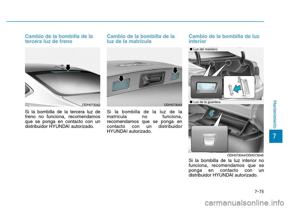 Hyundai Genesis 2016  Manual del propietario (in Spanish) 7-73
7
Mantenimiento
Cambio de la bombilla de la
tercera luz de freno 
Si la bombilla de la tercera luz de
freno no funciona, recomendamos
que se ponga en contacto con un
distribuidor HYUNDAI autoriza