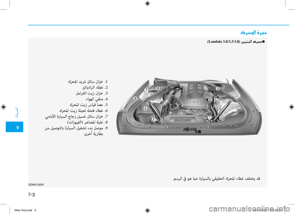 Hyundai Genesis 2016  دليل المالك 0035
ةنايصلا
7-3
ODH013005
00B70068000E003F001E00CE006800540057
)Lambda 3.0/3.3/3.8( 00C200CA006A00C1004800B8003F001E00B700680088001En
كرحلما ديبرت لئاس نازخ 
.1
 يرتاي