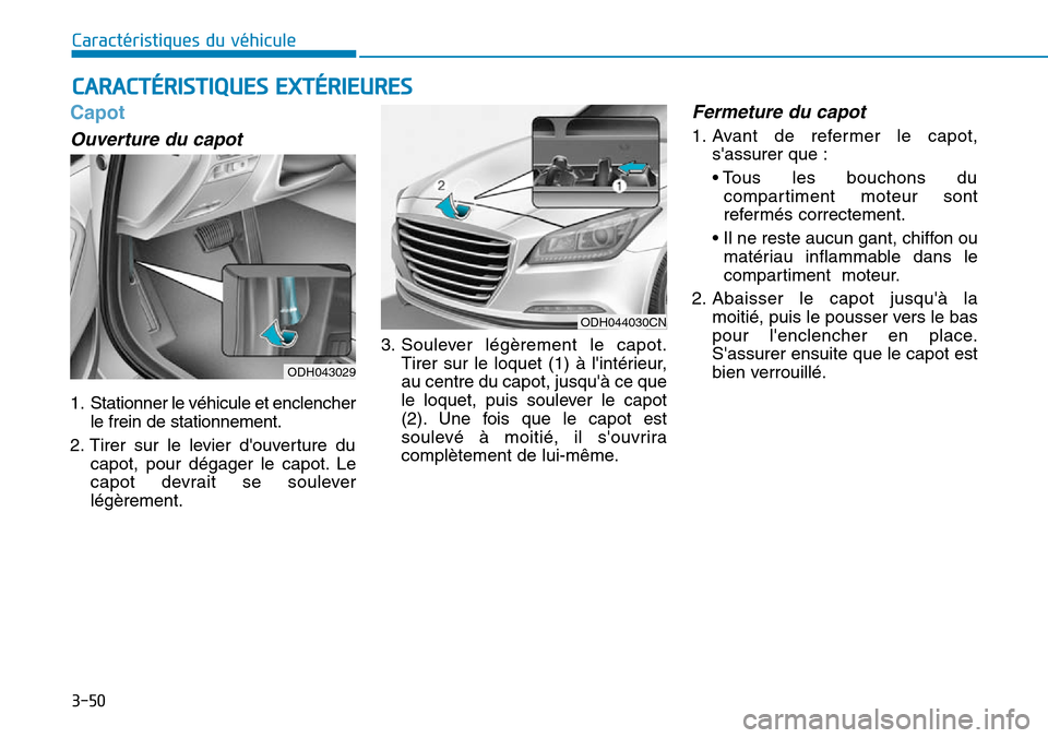 Hyundai Genesis 2015  Manuel du propriétaire (in French) 3-50
Caractéristiques du véhicule
CARACTÉRISTIQUES EXTÉRIEURES
Capot
Ouverture du capot 
1. Stationner le véhicule et enclencherle frein de stationnement.
2. Tirer sur le levier douverture du ca