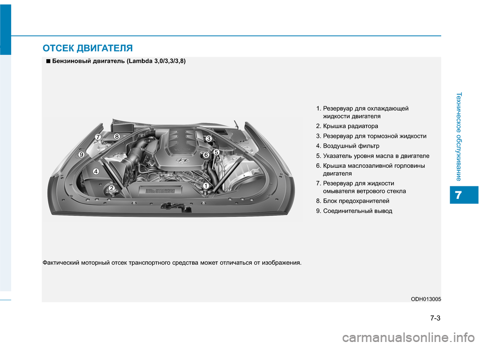 Hyundai Genesis 2014  Инструкция по эксплуатации (in Russian) 7-3
Техническое обслуживание
7
ОТСЕК ДВИГАТЕЛЯ
1. Резервуар для охлаждающей 
жидкости двигателя
2. Крышка радиа