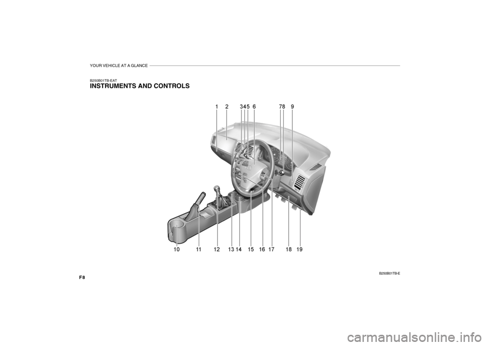 Hyundai Getz 2007  Owners Manual YOUR VEHICLE AT A GLANCE
F8
B250B01TB-EAT INSTRUMENTS AND CONTROLSB250B01TB-E  
