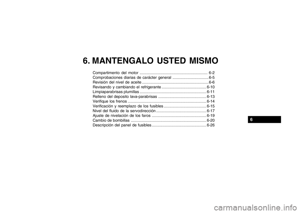 Hyundai Getz 2007  Manual del propietario (in Spanish) 6. MANTENGALO USTED MISMO
Compartimento del motor .............................................................. 6-2 
Comprobaciones diarias de carácter general ................................. 6-5 