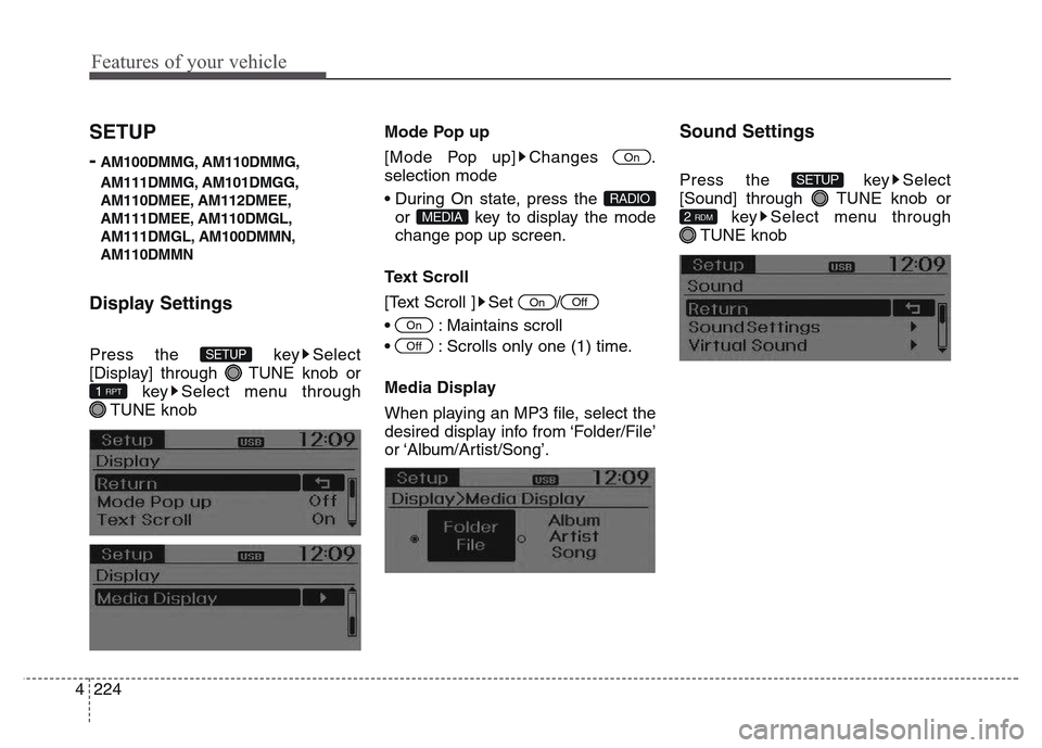 Hyundai Grand Santa Fe 2015  Owners Manual Features of your vehicle
224 4
SETUP
-
AM100DMMG, AM110DMMG,
AM111DMMG, AM101DMGG,
AM110DMEE, AM112DMEE,
AM111DMEE, AM110DMGL,
AM111DMGL, AM100DMMN,
AM110DMMN
Display Settings
Press the  key Select
[D