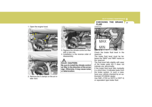 Page 261