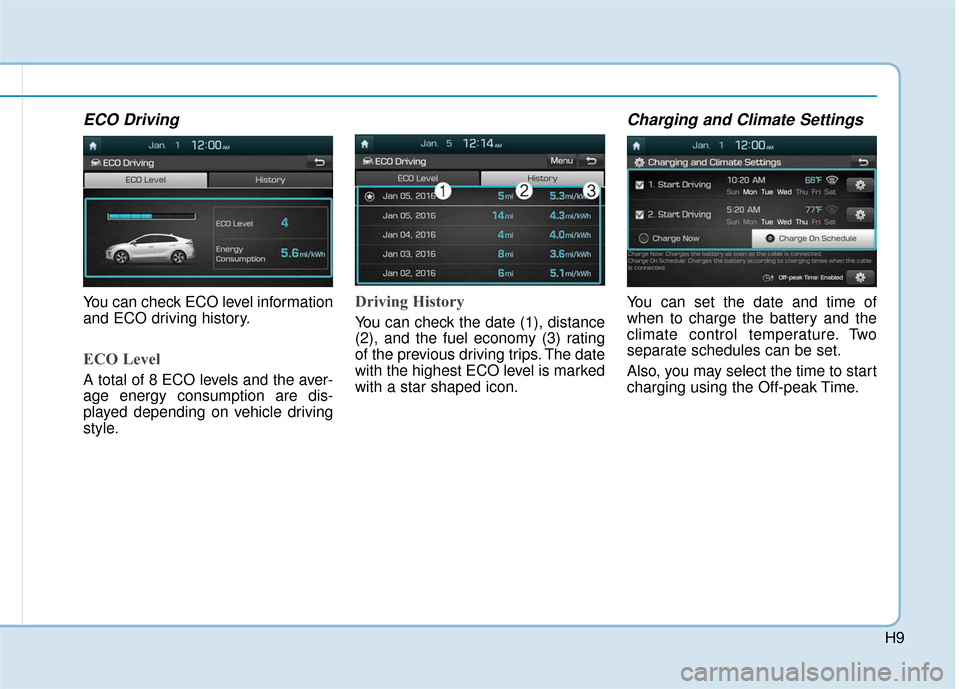 Hyundai Ioniq Electric 2019  Owners Manual H9
ECO Driving
You can check ECO level information
and ECO driving history.
ECO Level
A total of 8 ECO levels and the aver-
age energy consumption are dis-
played depending on vehicle driving
style.
D