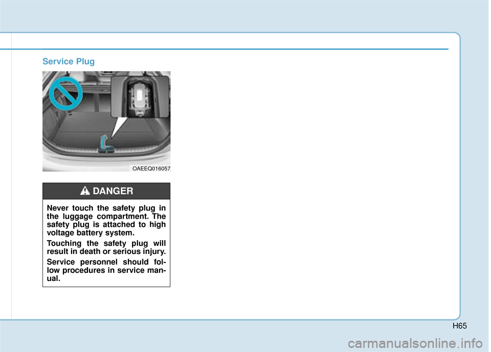 Hyundai Ioniq Electric 2019  Owners Manual - RHD (UK, Australia) H65
Service Plug
OAEEQ016057
Never touch the safety plug in
the luggage compartment. The
safety plug is attached to high
voltage battery system.
Touching the safety plug will
result in death or seriou