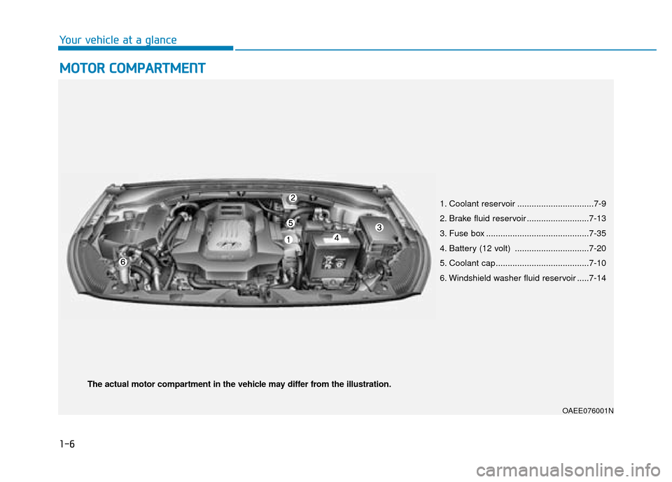 Hyundai Ioniq Electric 2019  Owners Manual - RHD (UK, Australia) 1-6
Your vehicle at a glance
M
MO
OT
TO
O R
R 
 C
C O
O M
M P
PA
A R
RT
TM
M E
EN
N T
T
1. Coolant reservoir ................................7-9
2. Brake fluid reservoir ..........................7-13