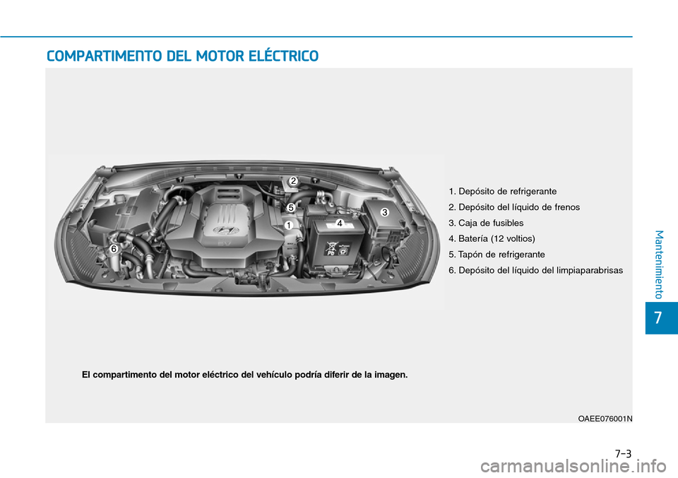 Hyundai Ioniq Electric 2019  Manual del propietario (in Spanish) 7-3
7
Mantenimiento
COMPARTIMENTO DEL MOTOR ELÉCTRICO
1. Depósito de refrigerante
2. Depósito del líquido de frenos
3. Caja de fusibles
4. Batería (12 voltios)
5. Tapón de refrigerante
6. Depós