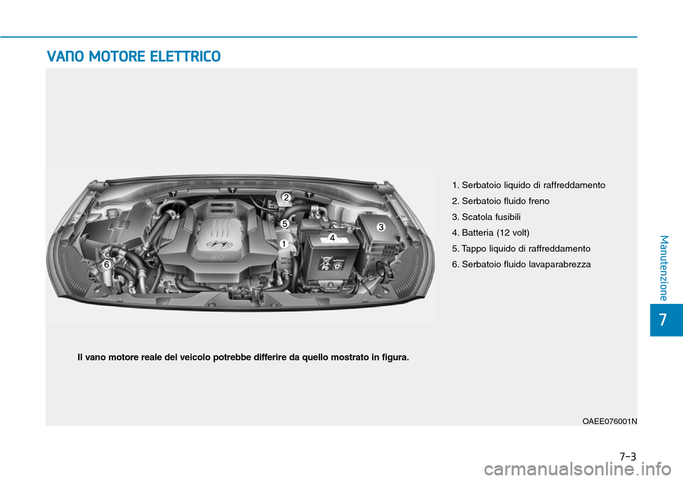 Hyundai Ioniq Electric 2019  Manuale del proprietario (in Italian) 7-3
7
Manutenzione
VANO MOTORE ELETTRICO
1. Serbatoio liquido di raffreddamento
2. Serbatoio fluido freno
3. Scatola fusibili
4. Batteria (12 volt)
5. Tappo liquido di raffreddamento
6. Serbatoio flui
