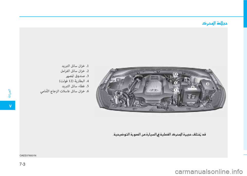 Hyundai Ioniq Electric 2019  دليل المالك 7-3
�ت
ﺔﻧﺎﻴﺼﻟا
OAEE076001N
�P�ﰲ�ا�ﺼ�ﻹ�M�كي�ذ�U
ﺪﻳﱪﺘﻟا ﻞﺋﺎﺳ ناﺰﺧ .1
ﻞﻣاﺮﻔﻟا ﻞﺋﺎﺳ ناﺰﺧ .2
ﺮﻬﺼﳌا قوﺪﻨﺻ .3
(ﺖ