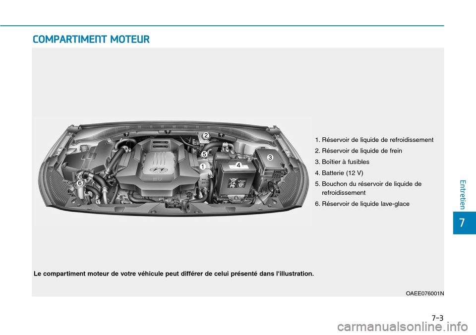 Hyundai Ioniq Electric 2018  Manuel du propriétaire (in French) 7-3
7
Entretien
COMPARTIMENT MOTEUR
1. Réservoir de liquide de refroidissement
2. Réservoir de liquide de frein
3. Boîtier à fusibles
4. Batterie (12 V)
5. Bouchon du réservoir de liquide de
refr