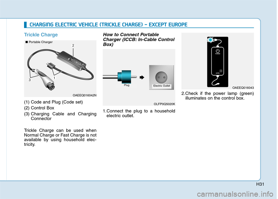 Hyundai Ioniq Electric 2017  Owners Manual H31
Trickle Charge
(1) Code and Plug (Code set)  
(2) Control Box(3) Charging Cable and Charging Connector
Trickle Charge can be used when
Normal Charge or Fast Charge is not
available by using househ