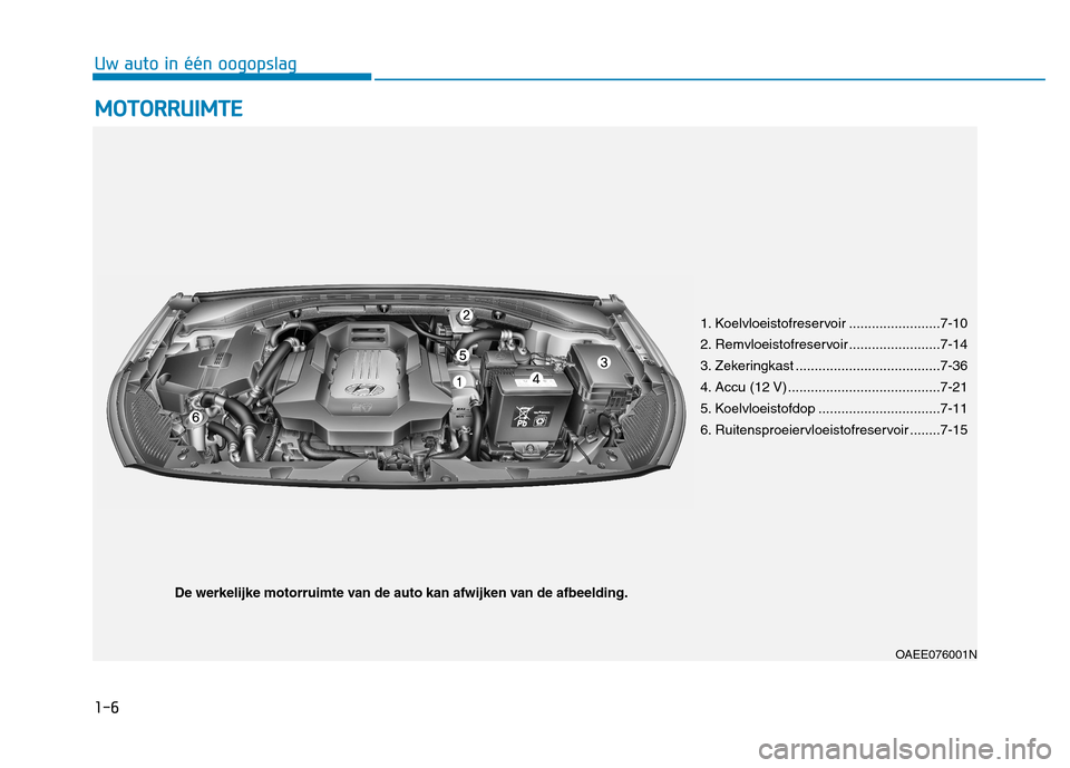 Hyundai Ioniq Electric 2017  Handleiding (in Dutch) 1-6
Uw auto in één oogopslagM
M OOTTOO RRRR UU IIMM TTEE
OAEE076001N
1. Koelvloeistofreservoir ........................7-10 
2. Remvloeistofreservoir ........................7-14
3. Zekeringkast ...