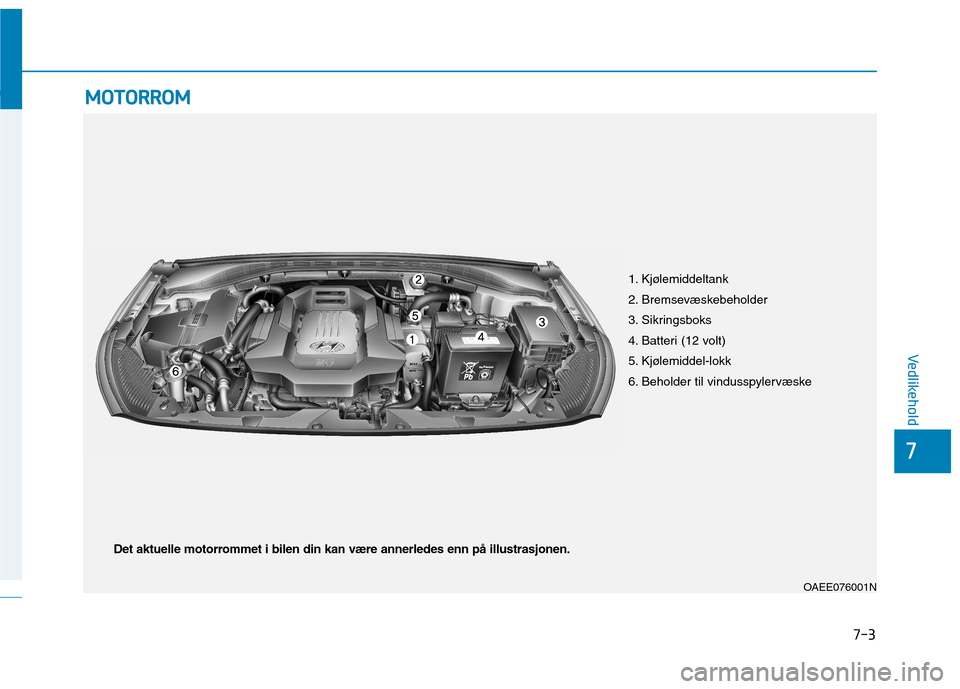 Hyundai Ioniq Electric 2017  Brukerhåndbok (in Norwegian) 7-3
7
Vedlikehold
MMOOTTOO RRRROO MM
1. Kjølemiddeltank 
2. Bremsevæskebeholder
3. Sikringsboks
4. Batteri (12 volt)
5. Kjølemiddel-lokk
6. Beholder til vindusspylervæske 
OAEE076001N
Det aktuelle
