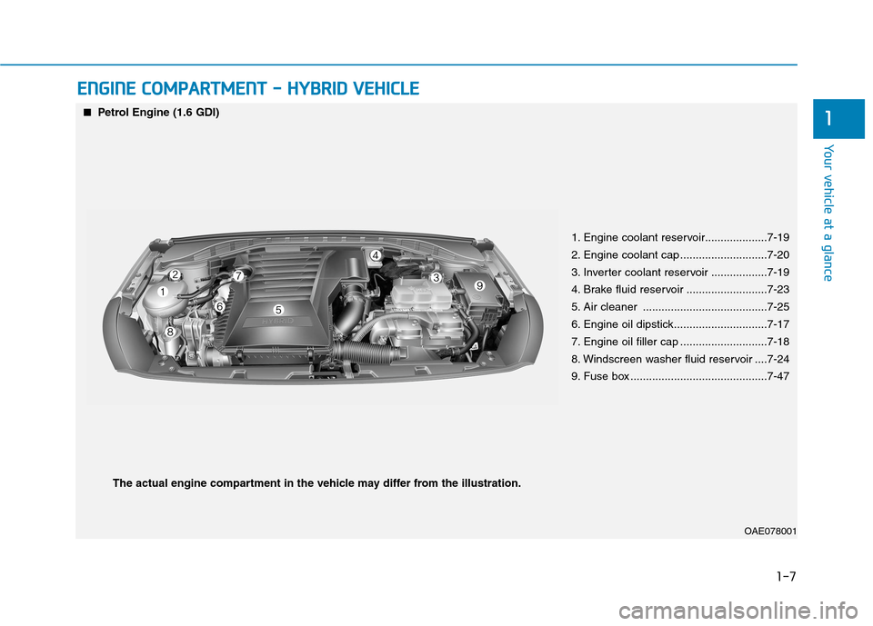 Hyundai Ioniq Hybrid 2020  Owners Manual - RHD (UK, Australia) 1-7
Your vehicle at a glance
1
E EN
NG
GI
IN
NE
E 
 C
CO
OM
MP
PA
AR
RT
TM
ME
EN
NT
T 
 -
- 
 H
HY
YB
BR
RI
ID
D 
 V
VE
EH
HI
IC
CL
LE
E
OAE078001
■ ■Petrol Engine (1.6 GDI)
1. Engine coolant rese