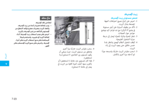 Page 525