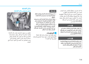 Page 532