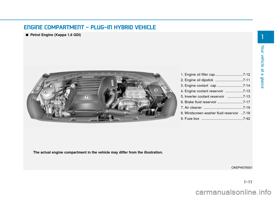 Hyundai Ioniq Plug-in Hybrid 2019  Owners Manual - RHD (UK, Australia) 1-11
Your vehicle at a glance
1
E
EN
N G
GI
IN
N E
E 
 C
C O
O M
M P
PA
A R
RT
TM
M E
EN
N T
T 
 -
-  
 P
P L
LU
U G
G-
-I
IN
N  
 H
H Y
Y B
BR
RI
ID
D  
 V
V E
EH
H I
IC
C L
LE
E
OAEPH076001
■
■P