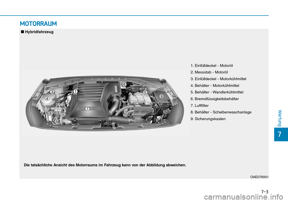 Hyundai Ioniq Plug-in Hybrid 2018  Betriebsanleitung (in German) 7-3
7
Wartung
MOTORRAUM
1. Einfülldeckel - Motoröl
2. Messstab - Motoröl
3. Einfülldeckel - Motorkühlmittel
4. Behälter - Motorkühlmittel
5. Behälter - Wandlerkühlmittel
6. Bremsflüssigkeits