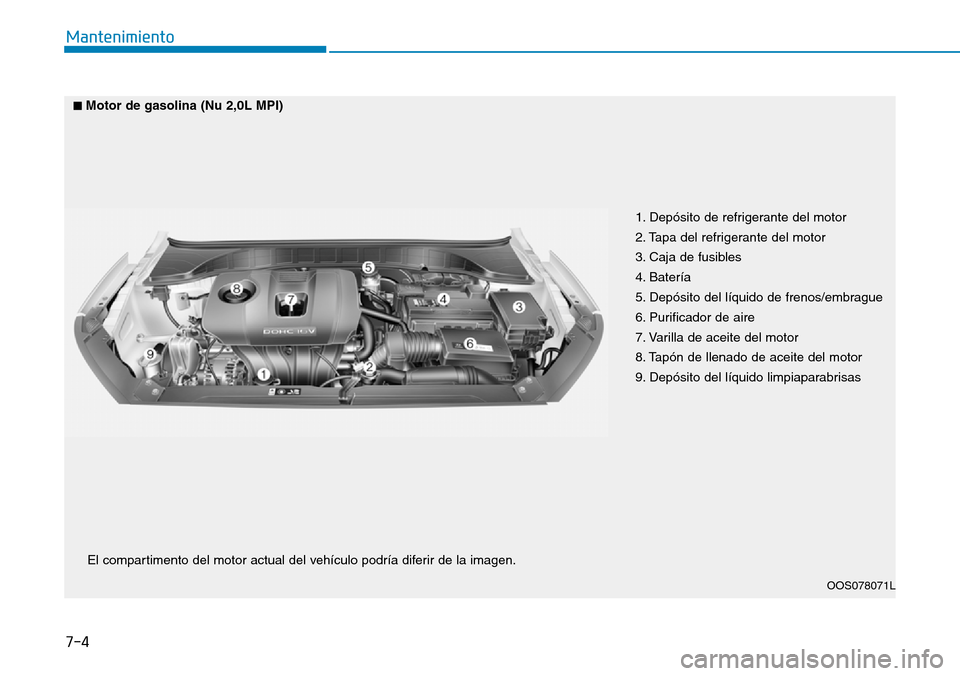 Hyundai Kona 2019  Manual del propietario (in Spanish) 7-4
Mantenimiento
1. Depósito de refrigerante del motor 
2. Tapa del refrigerante del motor 
3. Caja de fusibles 
4. Batería
5. Depósito del líquido de frenos/embrague
6. Purificador de aire 
7. V