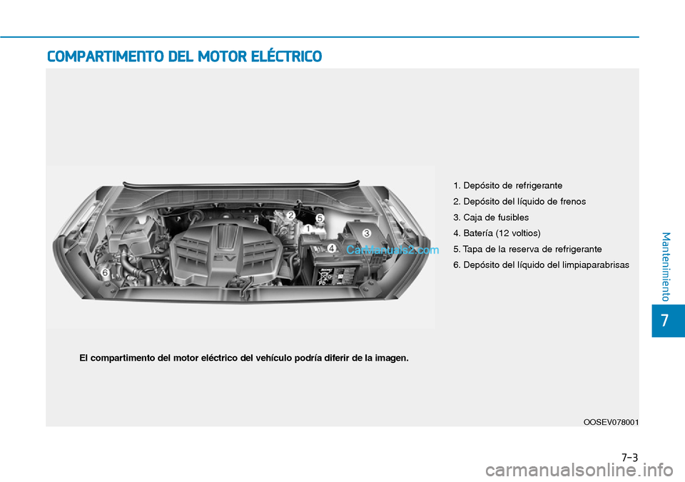 Hyundai Kona EV 2019  Manual del propietario (in Spanish) 7-3
7
Mantenimiento
COMPARTIMENTO DEL MOTOR ELÉCTRICO
1. Depósito de refrigerante
2. Depósito del líquido de frenos
3. Caja de fusibles
4. Batería (12 voltios)
5. Tapa de la reserva de refrigeran