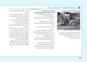 Page 544