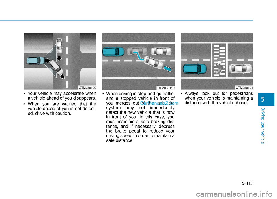 Hyundai Nexo 2019  Owners Manual 5-113
Driving your vehicle
5
 Your vehicle may accelerate whena vehicle ahead of you disappears.
 When you are warned that the vehicle ahead of you is not detect-
ed, drive with caution.  When driving