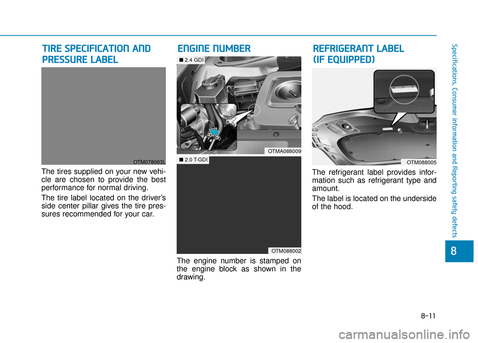 Hyundai Santa Fe 2019  Owners Manual 8-11
88
Specifications, Consumer information and Reporting safety defects
The tires supplied on your new vehi-
cle are chosen to provide the best
performance for normal driving.
The tire label located