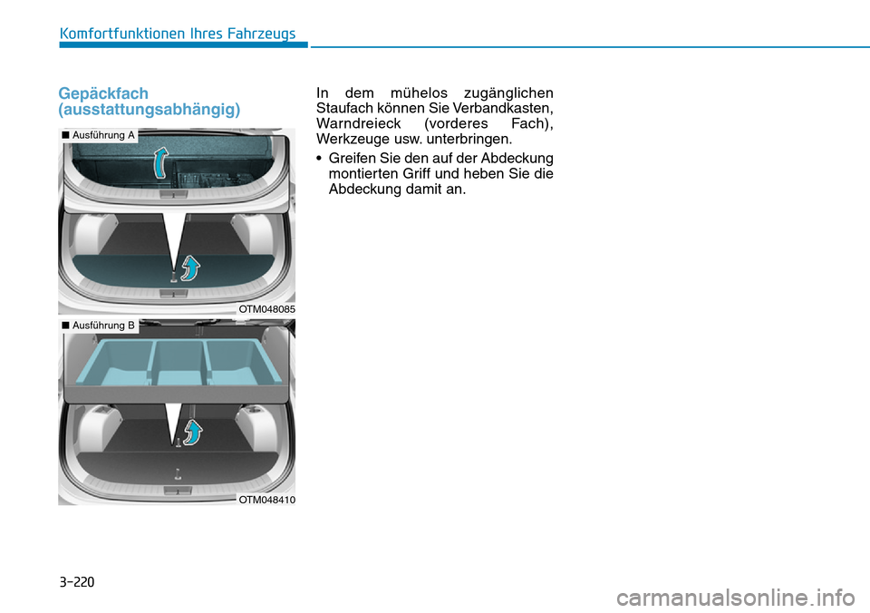 Hyundai Santa Fe 2019  Betriebsanleitung (in German) 3-220
Komfortfunktionen Ihres Fahrzeugs
Gepäckfach
(ausstattungsabhängig)In dem mühelos zugänglichen
Staufach können Sie Verbandkasten,
Warndreieck (vorderes Fach),
Werkzeuge usw. unterbringen.
