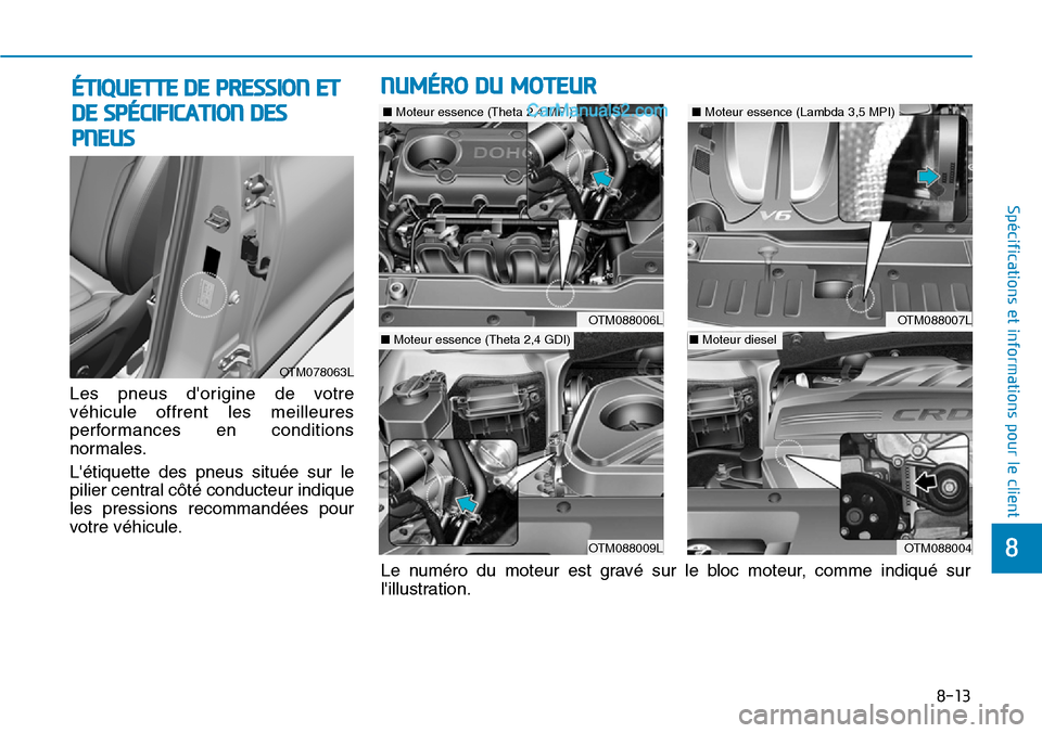 Hyundai Santa Fe 2019  Manuel du propriétaire (in French) 8-13
8
Spécifications et informations pour le client
Les pneus dorigine de votre
véhicule offrent les meilleures
performances en conditions
normales.
Létiquette des pneus située sur le
pilier ce