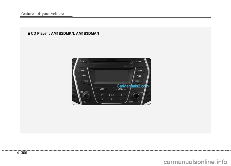 Hyundai Santa Fe 2016  Owners Manual Features of your vehicle
306
4
■
■  
 CD Player : AM1B2DMKN, AM1B3DMAN  