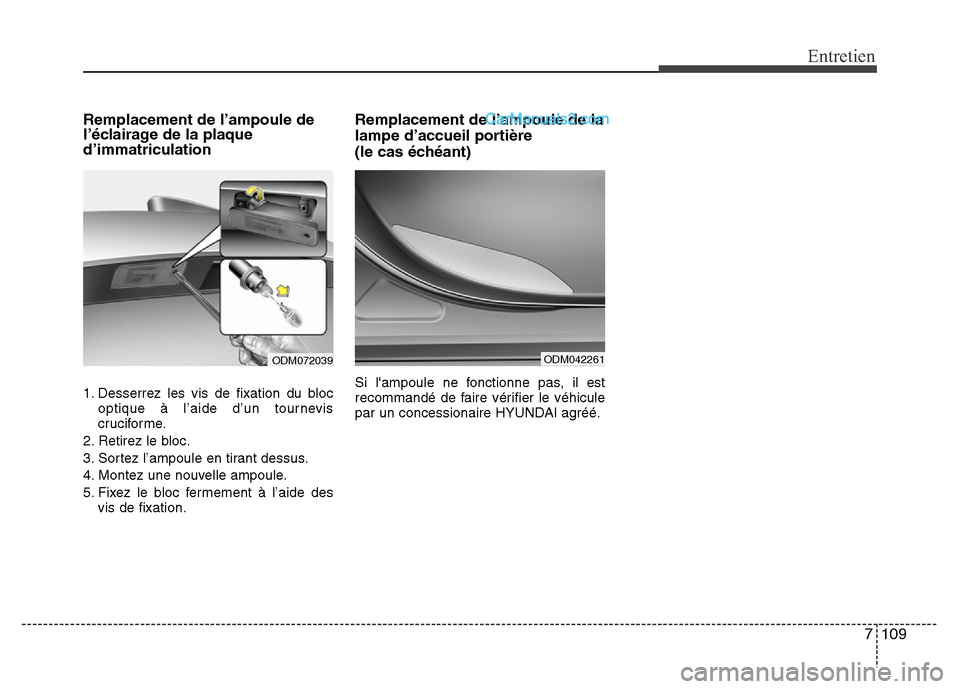 Hyundai Santa Fe 2013  Manuel du propriétaire (in French) 7 109
Entretien
Remplacement de l’ampoule de
l’éclairage de la plaque
d’immatriculation
1. Desserrez les vis de fixation du bloc
optique à l’aide d’un tournevis
cruciforme.
2. Retirez le b
