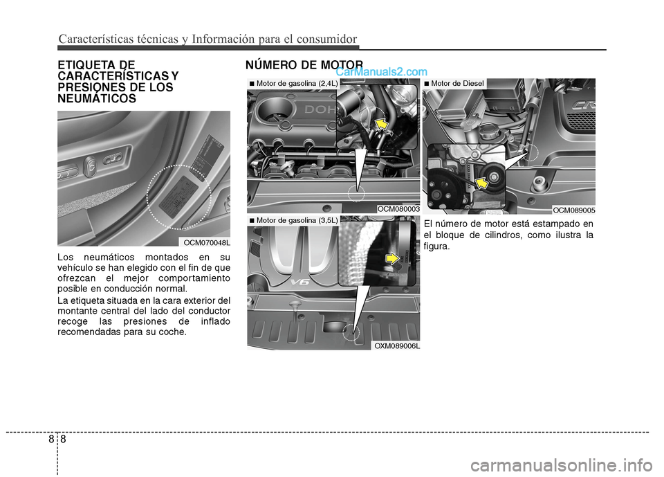 Hyundai Santa Fe 2012  Manual del propietario (in Spanish) Características técnicas y Información para el consumidor
8 8
ETIQUETA DE
CARACTERÍSTICAS Y
PRESIONES DE LOS
NEUMÁTICOS
Los neumáticos montados en su
vehículo se han elegido con el fin de que
o