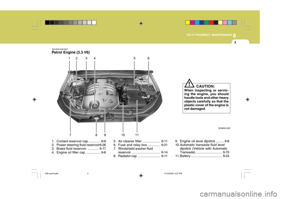 Hyundai Santa Fe 2009  Owners Manual - RHD (UK, Australia) 6
DO-IT-YOURSELF MAINTENANCE
3
G010D01CM-DAT
Petrol Engine (3.3 V6)
CAUTION:
When inspecting or servic- ing the engine, you shouldhandle tools and other heavy objects carefully so that the plastic cov