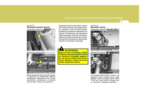 Page 263