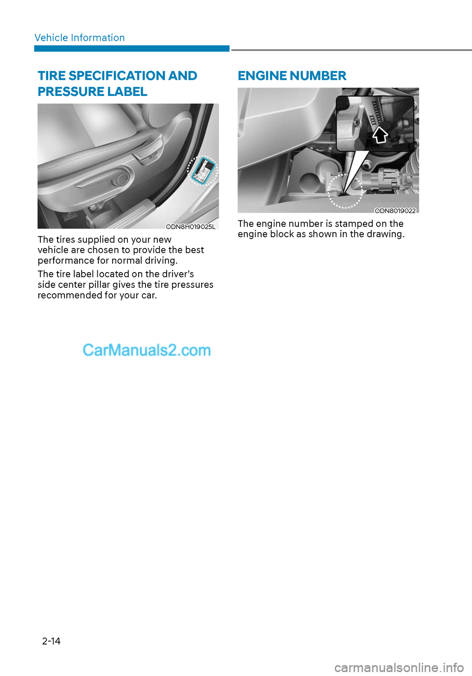 Hyundai Sonata 2020  Owners Manual Vehicle Information2-14
TIRE SPECIFICATION AND 
PRESSURE LABEL
ODN8H019025L
The tires supplied on your new 
vehicle are chosen to provide the best 
performance for normal driving.
The tire label locat