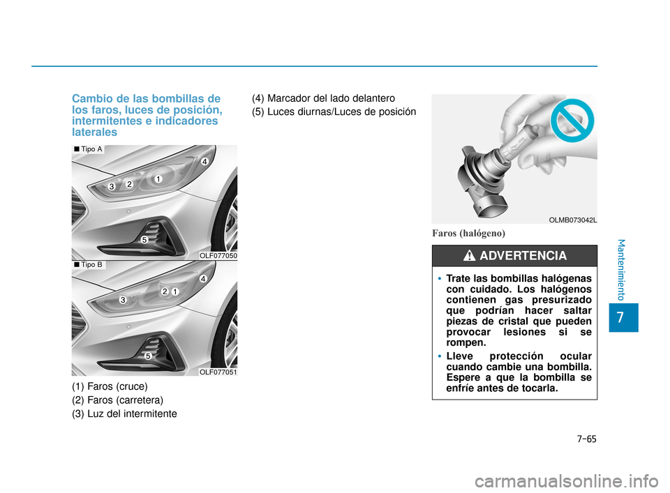 Hyundai Sonata 2019  Manual del propietario (in Spanish) 7-65
7
Mantenimiento
Cambio de las bombillas de
los faros, luces de posición,
intermitentes e indicadores
laterales
(1) Faros (cruce)
(2) Faros (carretera)
(3) Luz del intermitente(4) Marcador del la