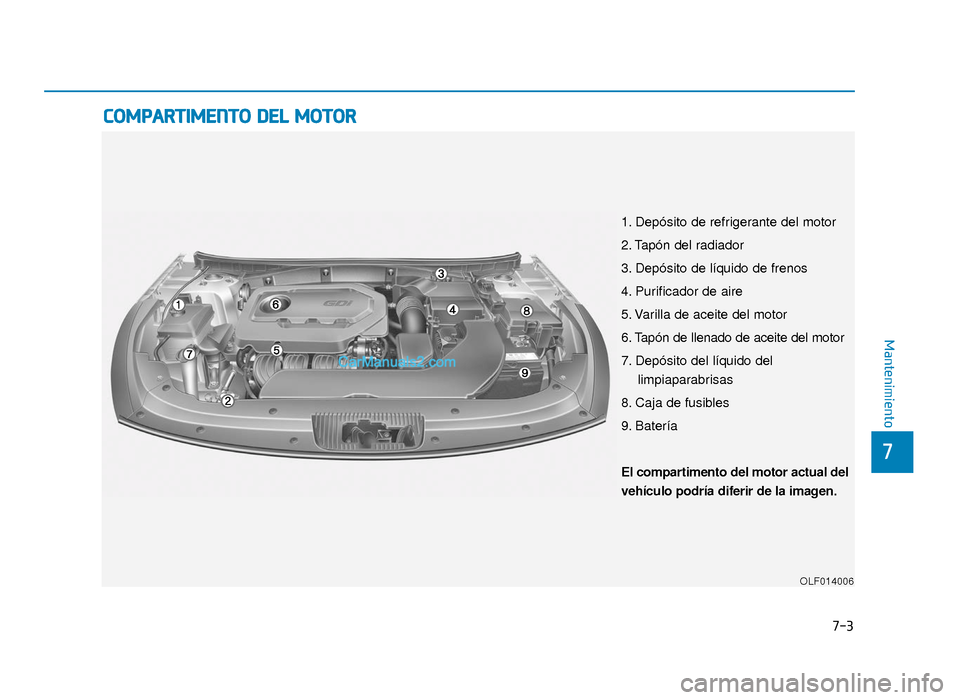 Hyundai Sonata 2016  Manual del propietario (in Spanish) C
CO
O M
M P
PA
A R
RT
TI
IM
M E
EN
N T
TO
O  
 D
D E
EL
L 
 M
M O
OT
TO
O R
R
7
Mantenimiento
7-3
1. Depósito de refrigerante del motor
2. Tapón del radiador
3. Depósito de líquido de frenos
4. P