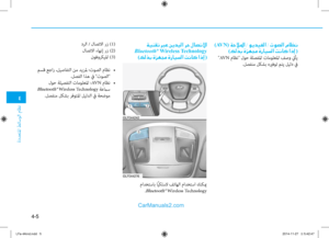 Page 243