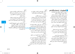 Page 251