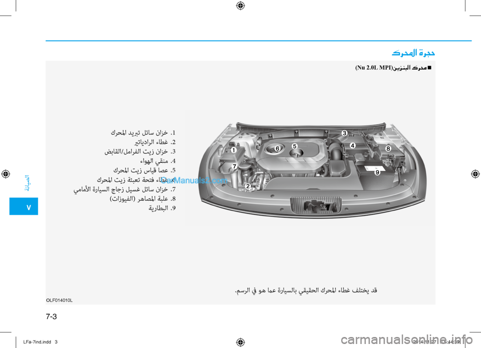 Hyundai Sonata 2015  دليل المالك 7
ةنايصلا
7-3
OLF014010L
كرلمحا ةرجح
)Nu 2.0L MPI(نيزنبلا كرمح n
كرحلما ديبرت لئاس نازخ 
.1
 يرتايدارلا ءاطغ  
.2
ضباقلا/لمارفل